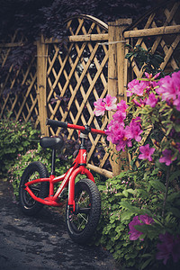 儿童自行车摄影照片_红色儿童自行车下午儿童自行车室外摄影摄影图配图