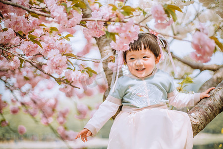 可爱小孩坐摄影照片_春游汉服儿童白天小女孩户外樱花树坐在树上摄影图配图