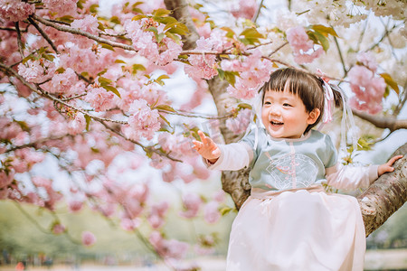 春游汉服白天小女孩樱花树爬树摄影图配图