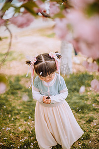 汉服小女孩白天樱花花瓣下的小女孩户外公园低头捧花瓣摄影图配图