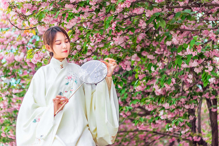 古风桃花园摄影照片_古风白天美女人物户外樱花园拿扇子摄影图配图