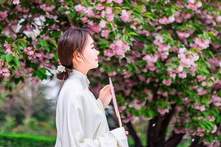 汉服古风字体摄影照片_古风美女白天女士户外树下观赏摄影图配图