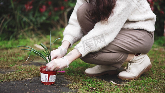 植树节人摄影照片_植树节女生盆栽种花种小树苗实拍