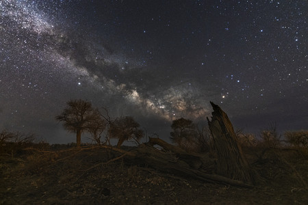 毛发干枯摄影照片_怪树林银河星空夜晚树木室外旅游摄影图配图