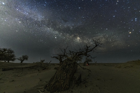 怪树林星河夜空古树室外旅游摄影图配图