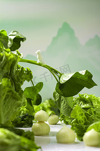 立夏节日节气摄影照片_夏季夏天立夏生菜蒜头摄影图配图