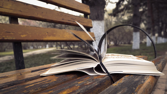 世界咖啡摄影照片_阅读下午一本书树林长椅看书阅读摄影图配图