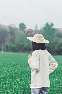 农民早上女士麦田户外站立摄影图配图