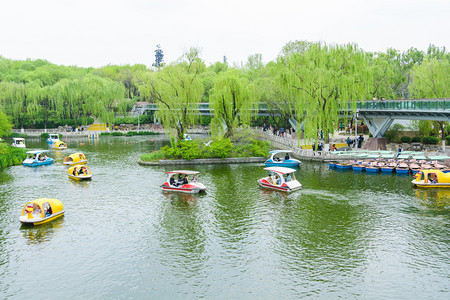 公园白天游船公园湖中划船摄影图配图