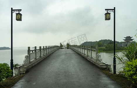 雨中花朵摄影照片_春雨雨天桥梁春雨时节全景摄影图配图