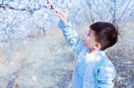 古风儿童春季孩子杏树林摘花摄影图配图
