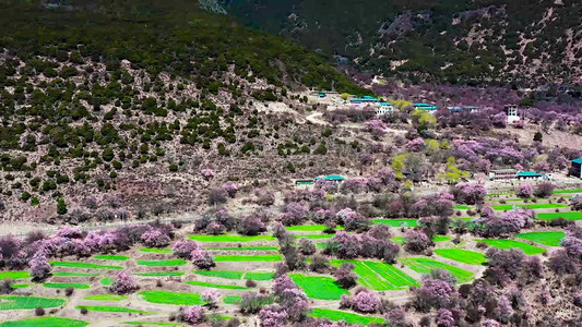 西藏林芝索松村5A景区风景航拍素材