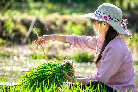 节约粮食摄影照片_春天春播白昼人物山区坐摄影图配图