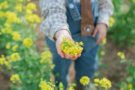 油菜花春天油菜花手油菜花田拿花摄影图配图