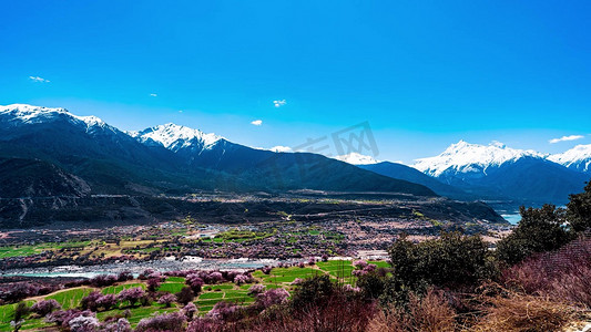 桃花节摄影照片_西藏旅游景点加拉白垒雪山雅鲁藏布江峡谷