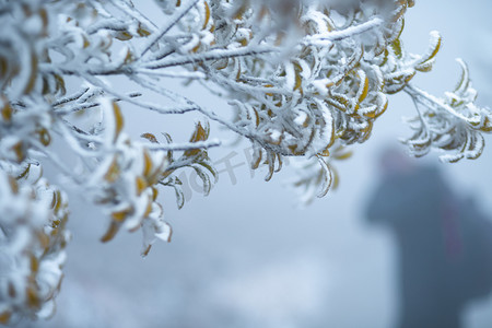 冰雪摄影照片_山上的雾凇下午雾凇山里无摄影图配图