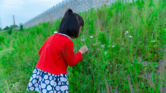 小姑娘人物摄影照片_小姑娘摘花初夏白天红衣儿童草地里摘草摄影图配图