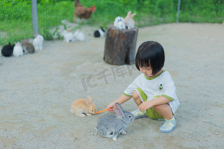 招财娃娃摄影照片_喂兔子的女孩下午女孩兔子农场喂兔子摄影图配图