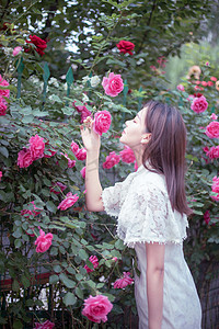 夏季唯美蔷薇花早上美女户外花香摄影图配图