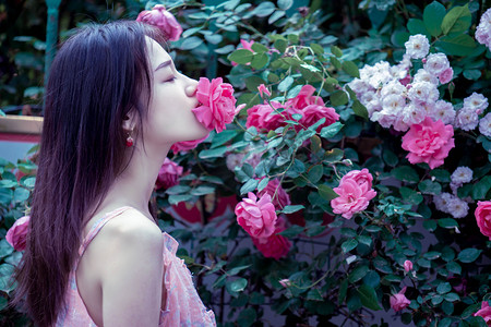 花花卉摄影照片_夏天早上花草蔷薇花美女户外闻花香摄影图配图