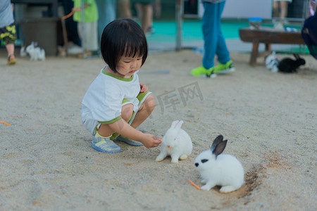 嫦娥的兔子摄影照片_喂兔子的女孩下午女孩兔子农庄喂兔子摄影图配图