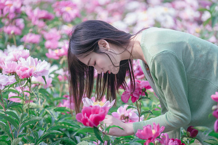 观赏摄影照片_立夏赏花早上美女芍药花花田户外观赏摄影图配图