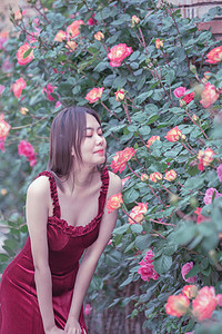 夏季白天蔷薇花花朵人像花园花香摄影图配图