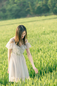 小满摄影照片_立夏小满芒种清晨美女人物麦田察看摄影图配图