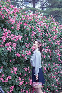 夏季美女早上粉红色蔷薇花花园春游摄影图配图