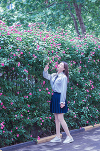 夏季唯美蔷薇花白天美女户外赏花摄影图配图