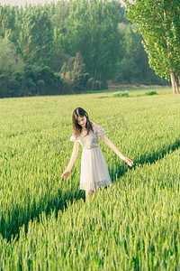 立夏小满芒种初夏美女麦田行走摄影图配图