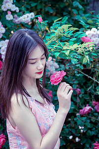 琉璃蔷薇摄影照片_夏季白天蔷薇花美女花园春游摄影图配图