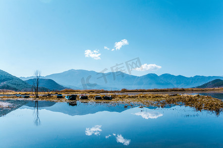 植物湖水风景摄影照片_休闲下午湖水湖泊眺望摄影图配图