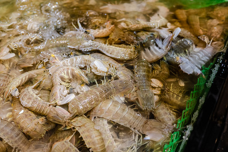 虾摄影照片_水产市场食材海鲜皮皮虾摄影图配图