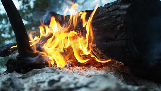 木头标牌插画摄影照片_木头燃烧火焰高清