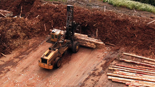 重型机械摄影照片_航拍林场伐木场大型机械工作场景