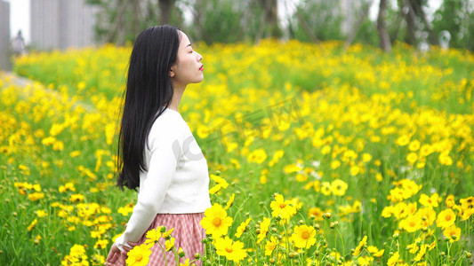 美女闭眼站在花海中意境个人vip和企业vip免费下载阳光下的牵牛花个人