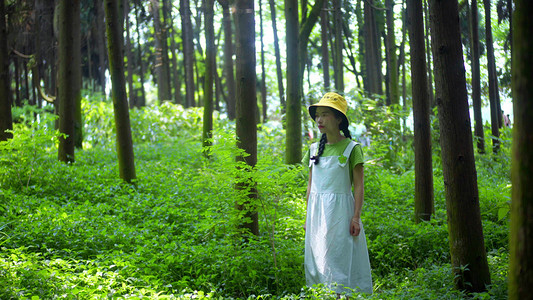 森系美女摄影照片_实拍森系可爱美女走在森林中意境