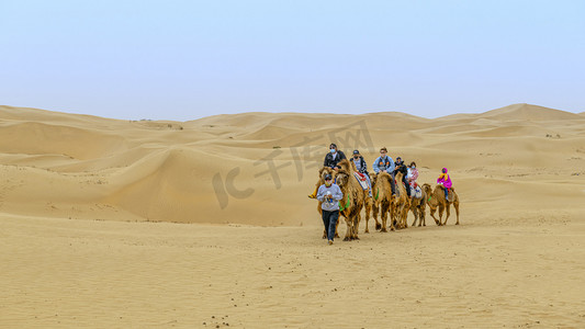 沙漠旅游上午驼队春季素材摄影图配图