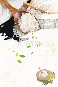 五常大米标识背景图片_大米食品海报设计