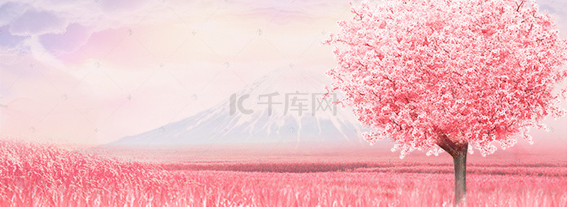 樱花季卡通背景图片_唯美浪漫樱花林banner背景