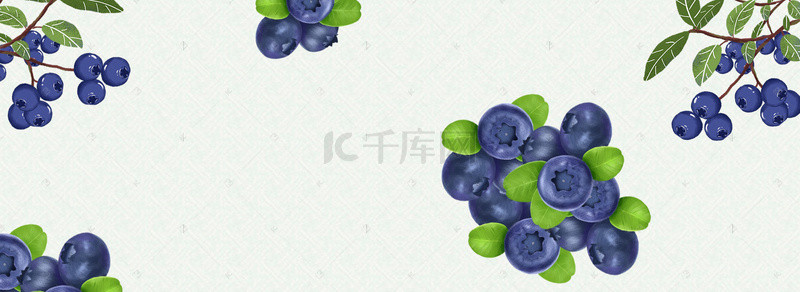 蓝莓海报背景图片_新鲜蓝莓上市促销清新绿色banner