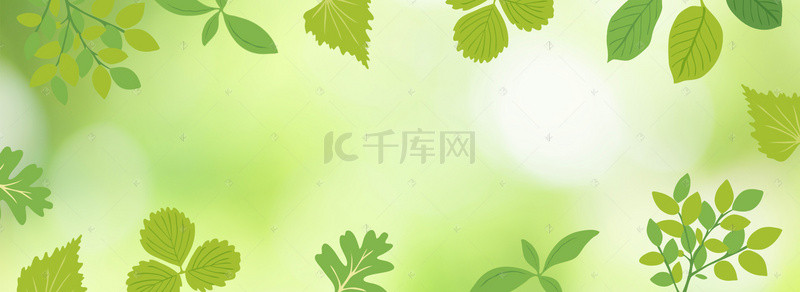 立夏节气绿植枝叶banner