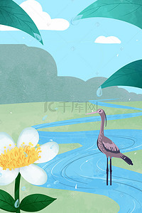 白露二十四节气花朵河流叶子灰鹤海报