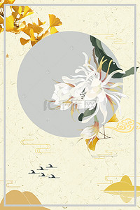 白色菊花白露装饰背景