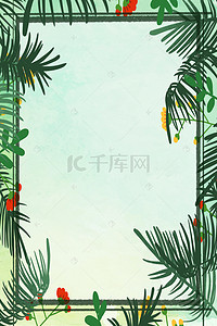 夏季 ins风棕榈树枝背景图片