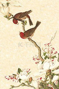 中国风古典背景图片_中国风古典工笔花鸟画海报背景