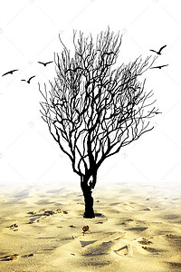 创意荒漠枯树节约用水海报背景素材