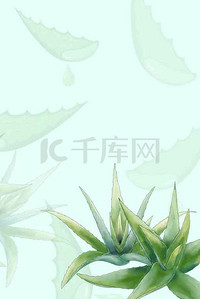 海报植物素材背景图片_夏季芦荟胶化妆品宣传海报背景素材