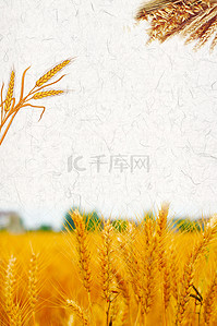 节约粮食设计背景图片_五谷杂粮健康养生海报